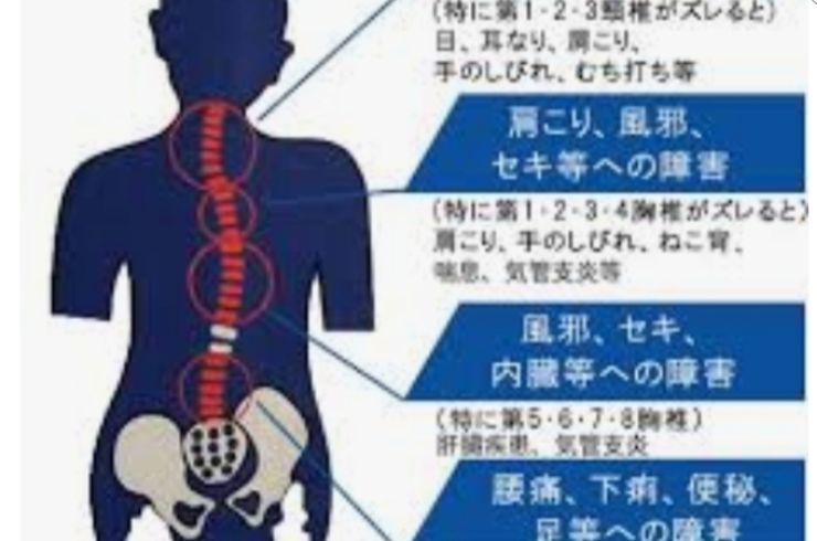 羽村・青梅の整体で免疫を上げる