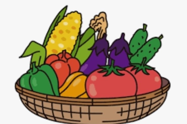 夏の栄養バランス