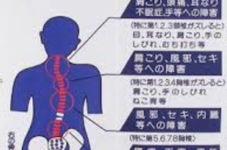 羽村で腰痛の癖を根本からかえるなら、ともカイロプラクティックへ